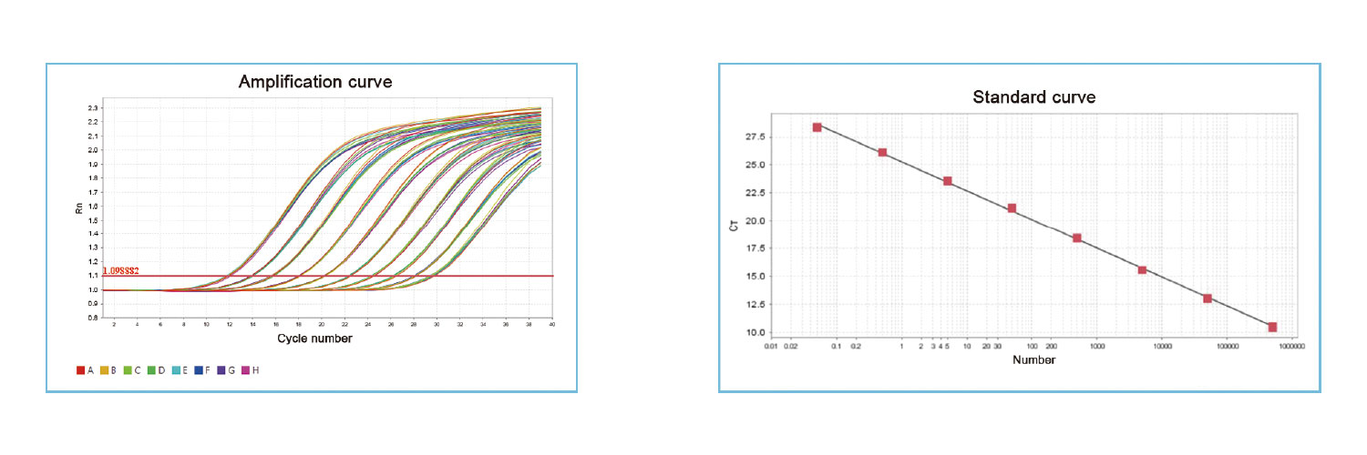 Fluorescence quantitative Detection System for COVID-19 Testing