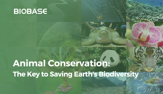Wildlife Conservation: The Importance of Saving Earth's Biodiversity