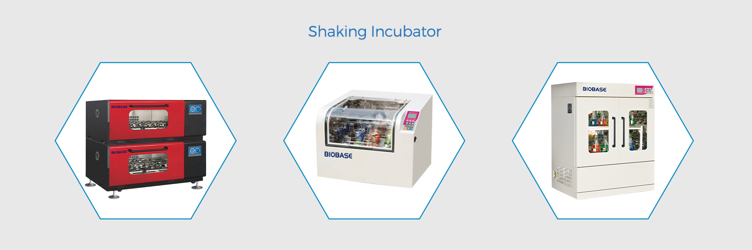 HOW DOES A LABORATORY INCUBATOR WORK? BIOBASE