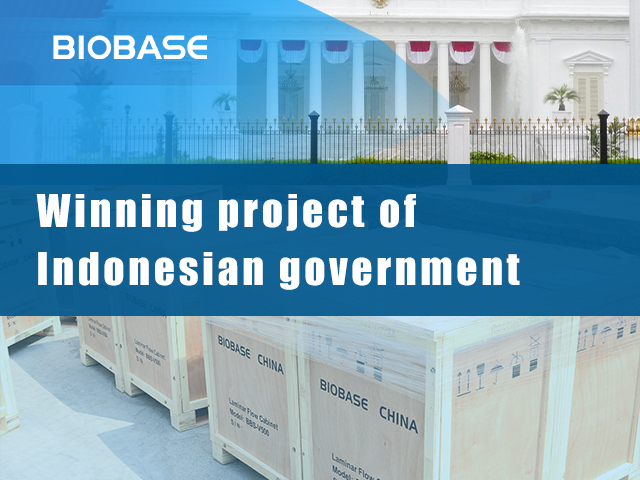 The first batch of goods for the Indonesian government's bid-winning project has been dispatched
