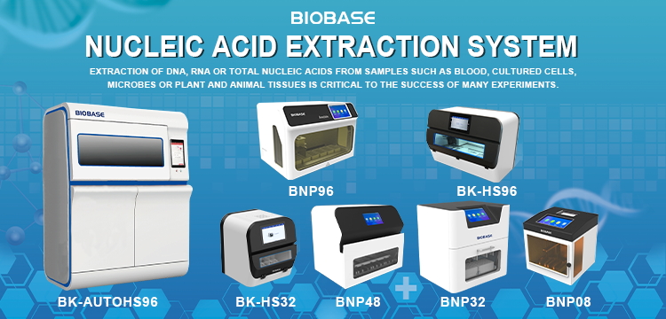 Nucleic Acid Extraction Basics