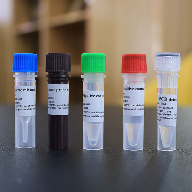 Novel Coronavirus (2019-nCoV) Nucleic Acid Detection Kit (Fluorescence PCR)