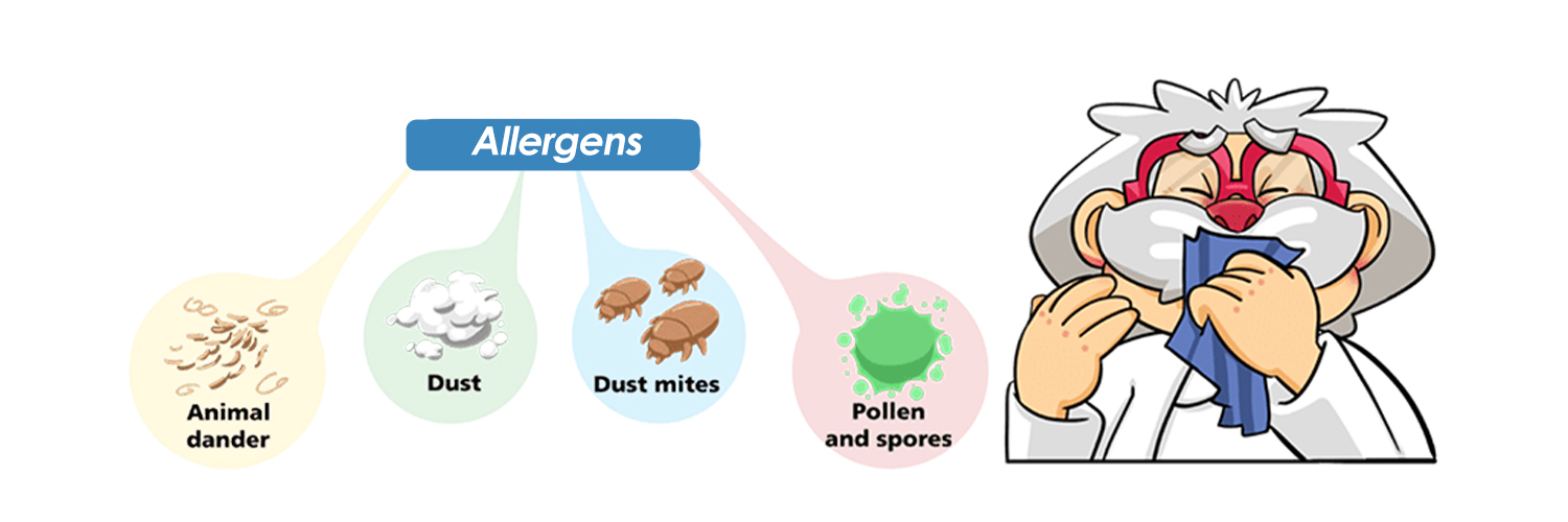 Alleviating Allergic Rhinitis Through Air Purifiers